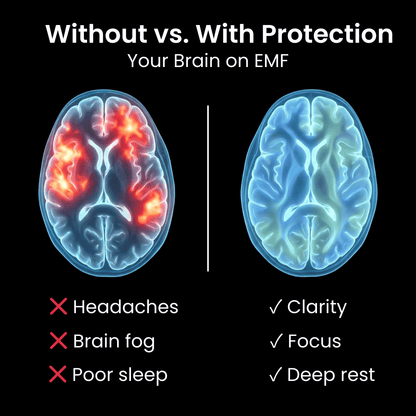 NeutraShield™ EMF Protection Chips